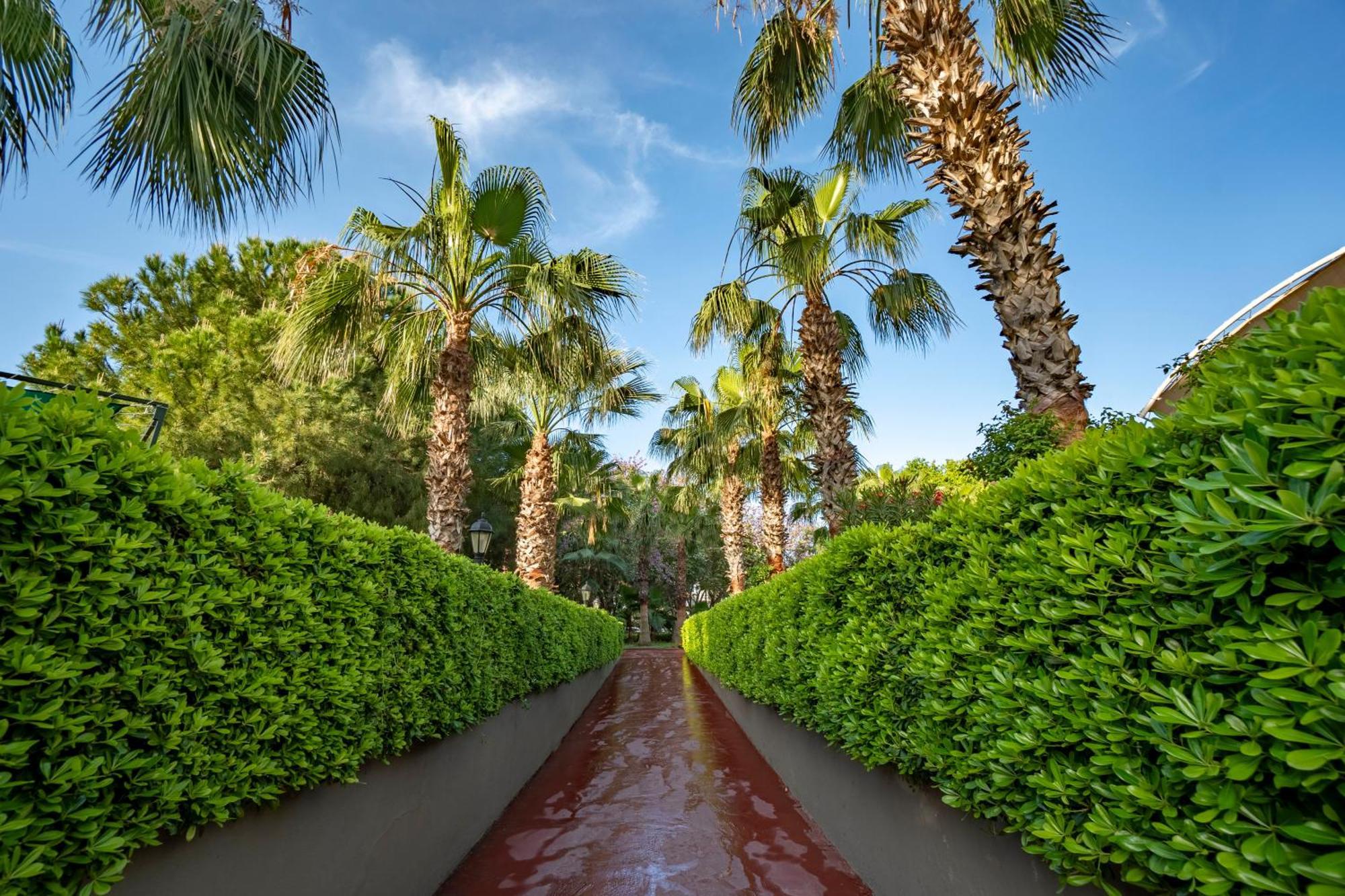 Side Breeze Hotel Antalya Extérieur photo